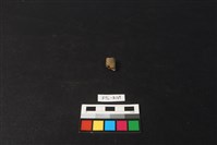 獸骨藏品圖，第2張