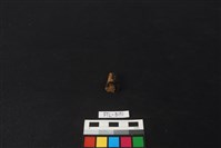 獸骨藏品圖，第2張