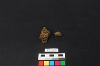 獸骨藏品圖，第1張