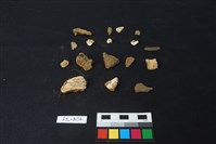 獸骨藏品圖，第1張