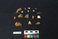 獸骨藏品圖，第2張