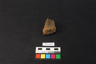 鹿骨藏品圖，第2張