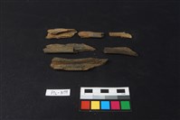 獸骨藏品圖，第1張