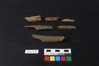 獸骨藏品圖，第2張