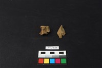 獸骨藏品圖，第1張