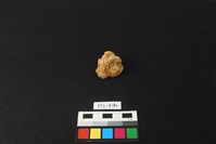 獸骨藏品圖，第2張