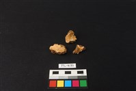 獸骨藏品圖，第1張