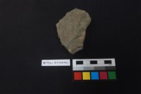 陶片藏品圖，第2張