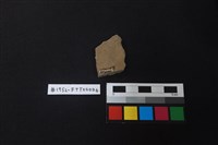 陶片藏品圖，第2張