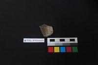 陶片藏品圖，第2張