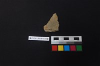 陶片藏品圖，第2張