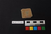 陶片藏品圖，第2張