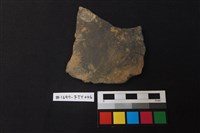 陶片藏品圖，第1張