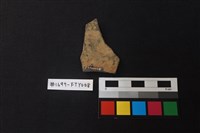 陶片藏品圖，第2張