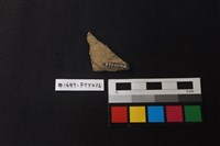 陶片藏品圖，第2張