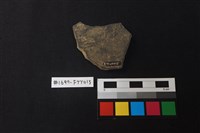 陶片藏品圖，第2張