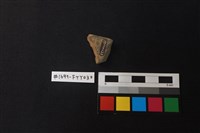 陶片藏品圖，第2張