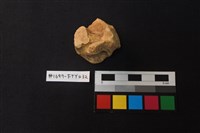 獸骨藏品圖，第1張