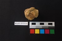 獸骨藏品圖，第2張