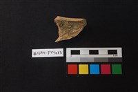 獸骨藏品圖，第2張