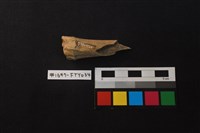 獸骨藏品圖，第3張