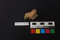 獸骨藏品圖，第2張