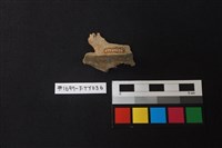 獸骨藏品圖，第3張