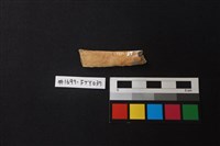 獸骨藏品圖，第2張