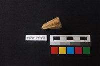 獸骨藏品圖，第1張