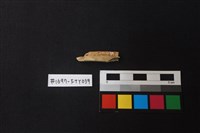 獸骨藏品圖，第2張