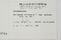 龍柏藏品圖，第2張