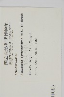 肯氏南洋杉藏品圖，第2張