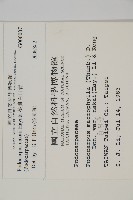 桃實百日青藏品圖，第2張