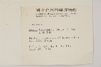 臺灣冷杉藏品圖，第2張