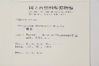 刺柏藏品圖，第2張