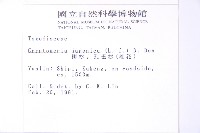 柳杉藏品圖，第2張