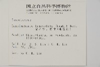 杉木藏品圖，第2張