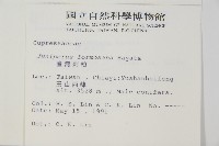 刺柏藏品圖，第2張