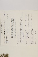 香青藏品圖，第2張