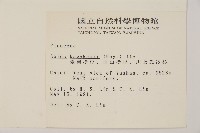 臺灣冷杉藏品圖，第2張