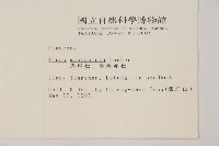 馬尾松藏品圖，第2張