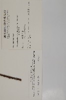 竹柏藏品圖，第2張