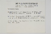 臺灣扁柏藏品圖，第2張