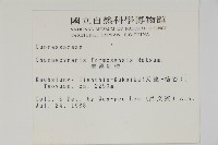 紅檜藏品圖，第2張