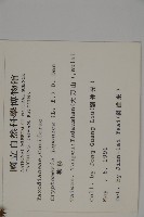 柳杉藏品圖，第2張