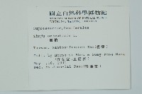 側柏藏品圖，第2張