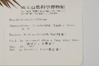 杉木藏品圖，第2張