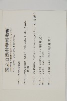 竹柏、南攻竹柏藏品圖，第2張