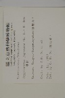 柳杉藏品圖，第2張