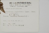 杉木藏品圖，第2張